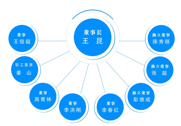 1765786200614205.jpg 公司董事結(jié)構(gòu)-2025(1).jpg